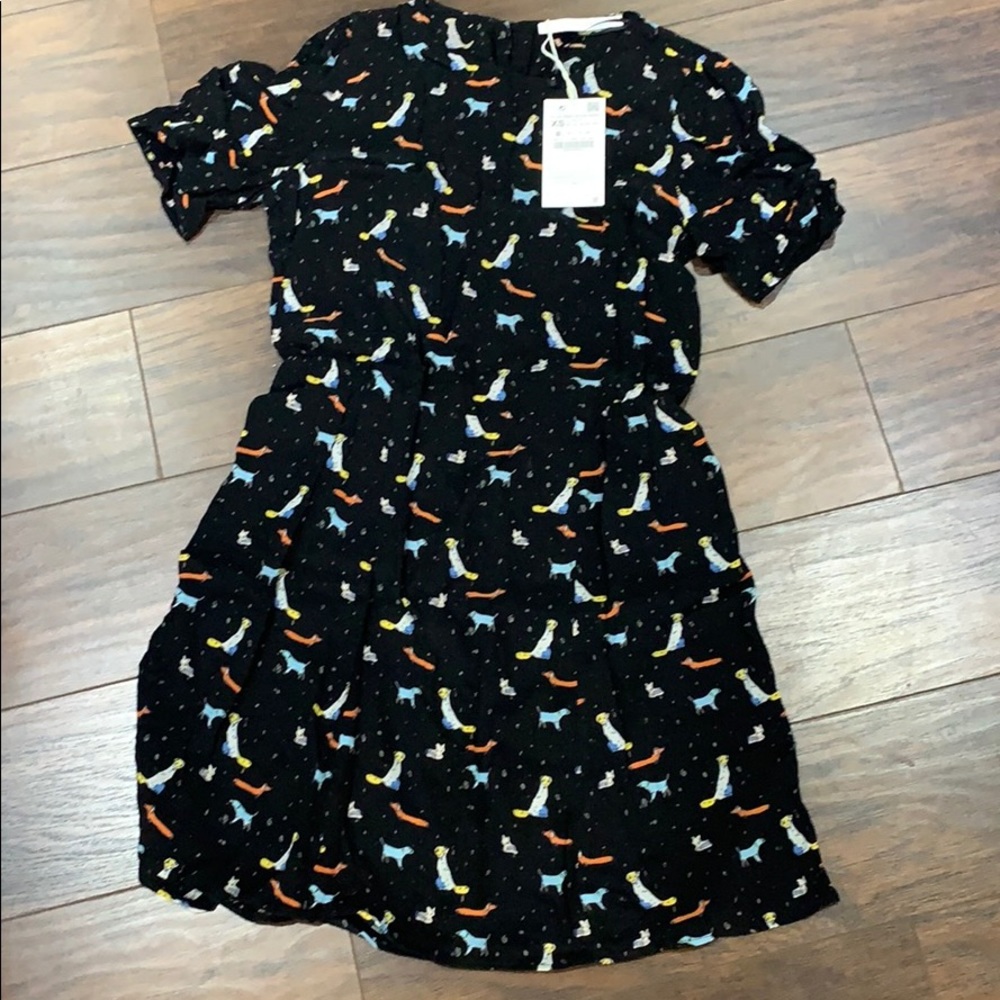 Zara dress